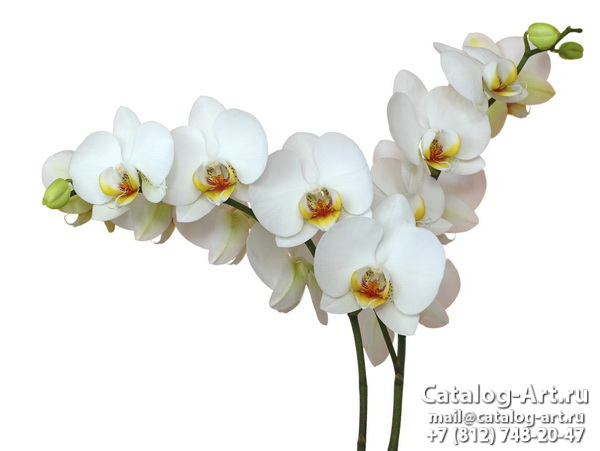 картинки для фотопечати на потолках, идеи, фото, образцы - Потолки с фотопечатью - Белые орхидеи 6